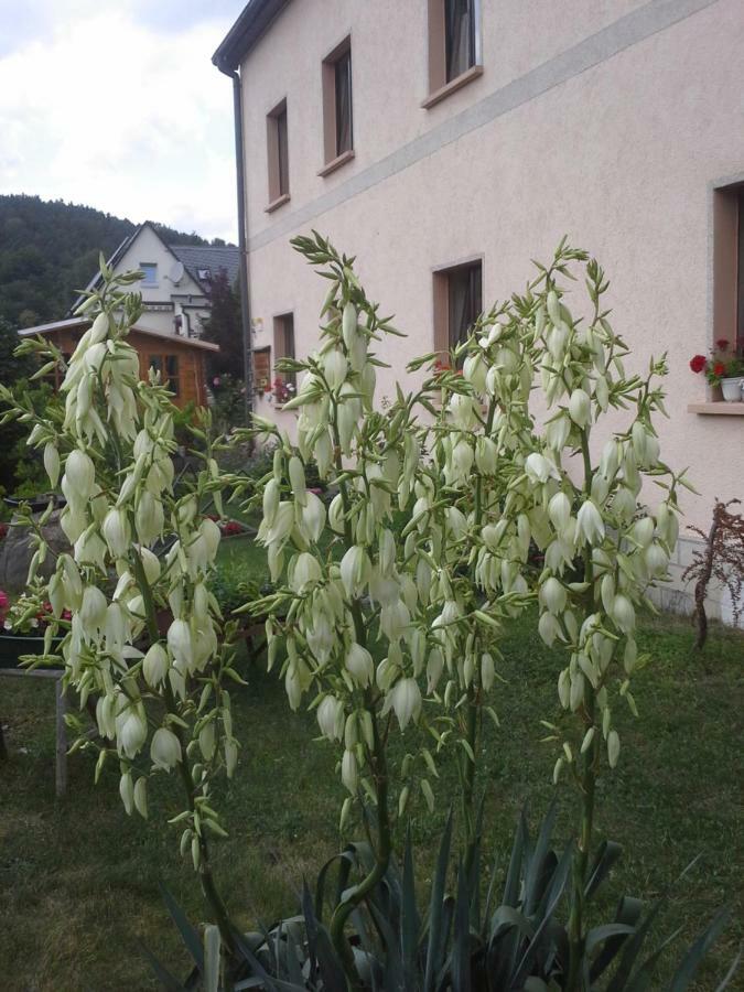 Ferienwohnung Buechsenhof Prossen Экстерьер фото